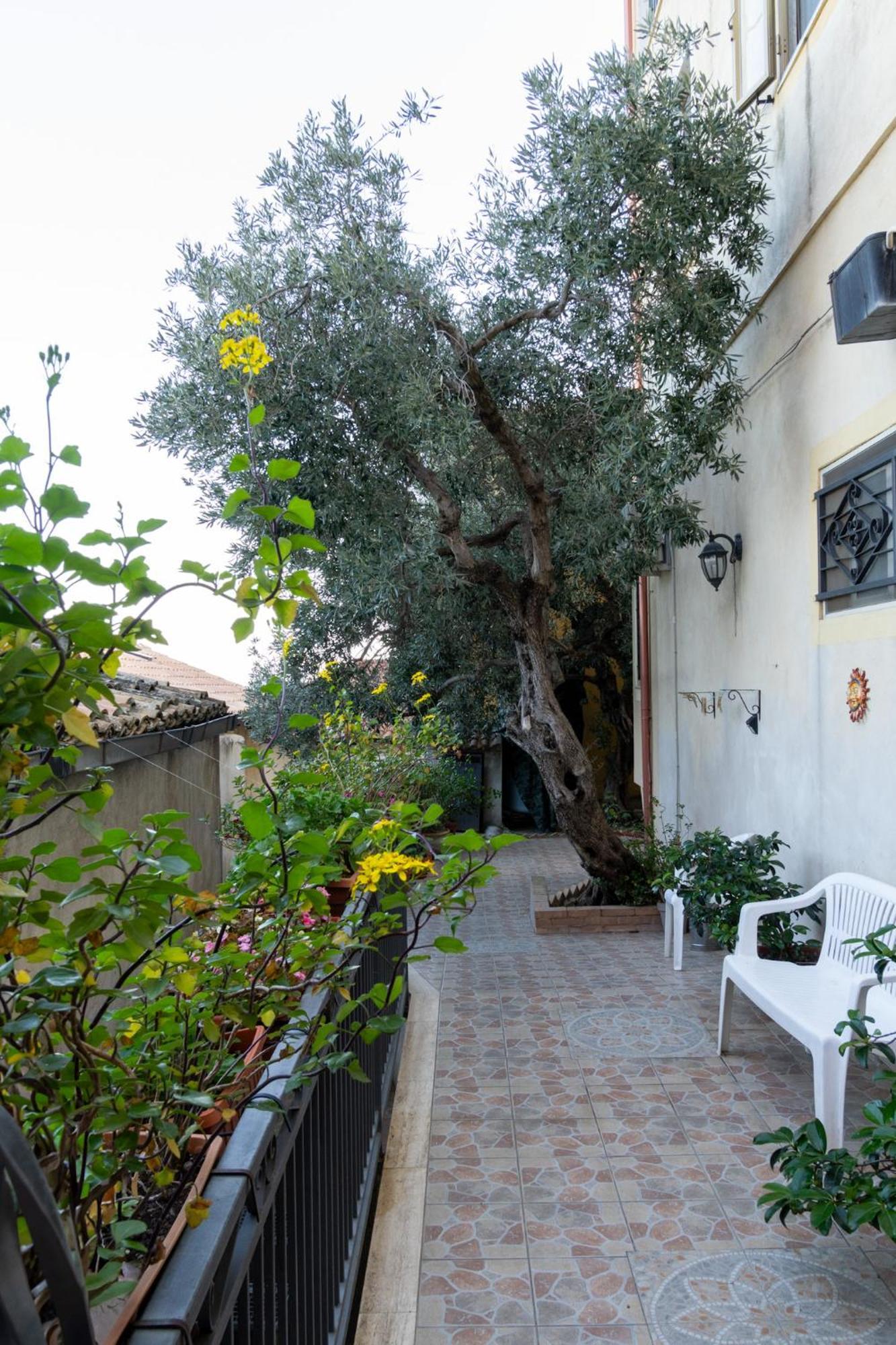 Appartamento per Turisti Mesovia Santa Severina Esterno foto